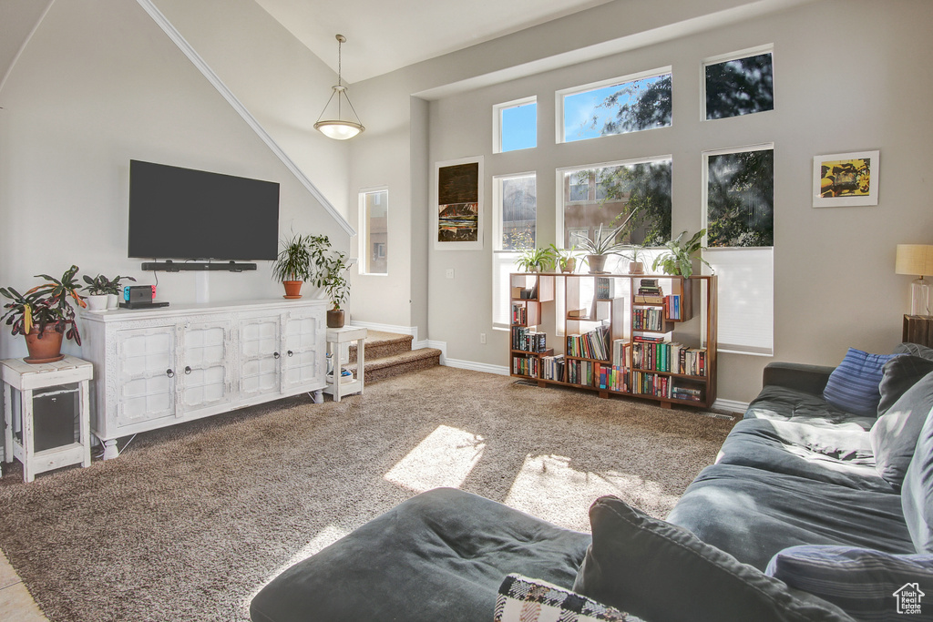 Photo 8 for MLS #2119749 at 7344 S Shelby View Dr