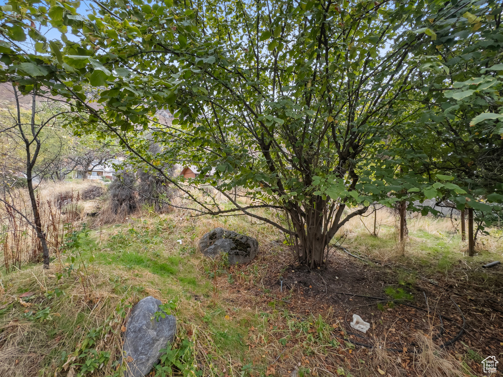 1205 N OLD WILLOW LN Provo, UT 84604