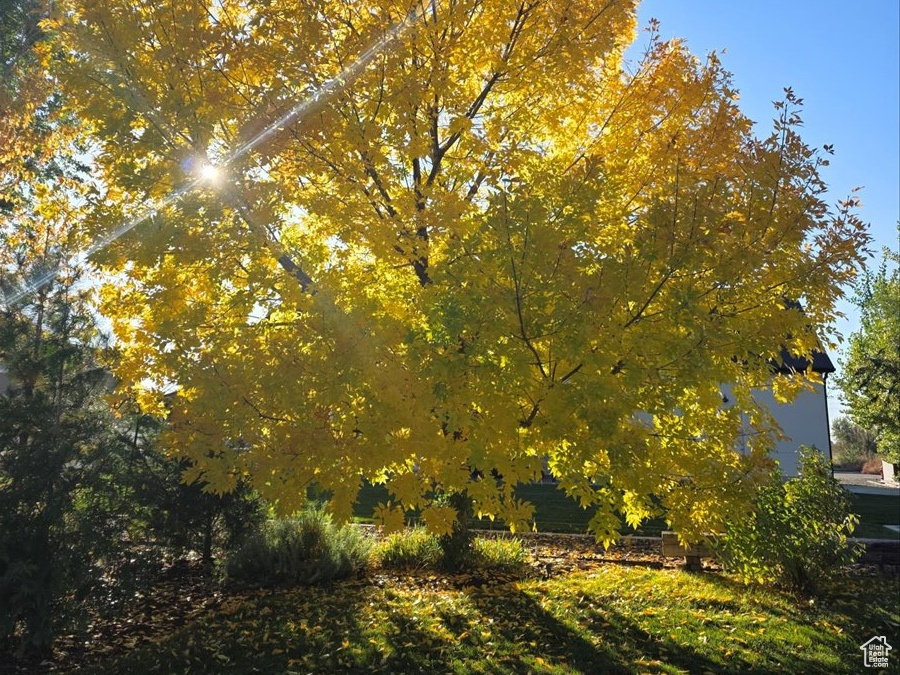 Photo 65 for MLS #2119792 at 2307 N 2850 West