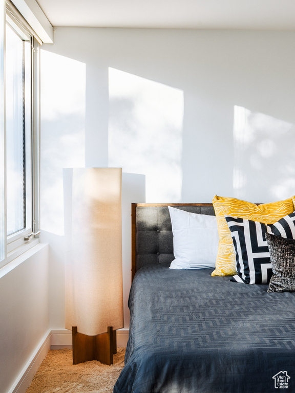 Photo 46 for MLS #2119804 at 2777 E Comanche Dr