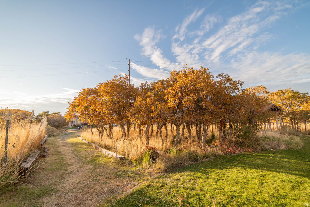 626 S 690 E Santaquin, UT 84655