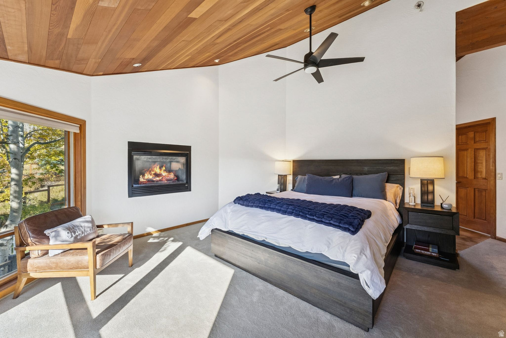 Photo 24 for MLS #2119868 at 3065 Oak Rim Ln