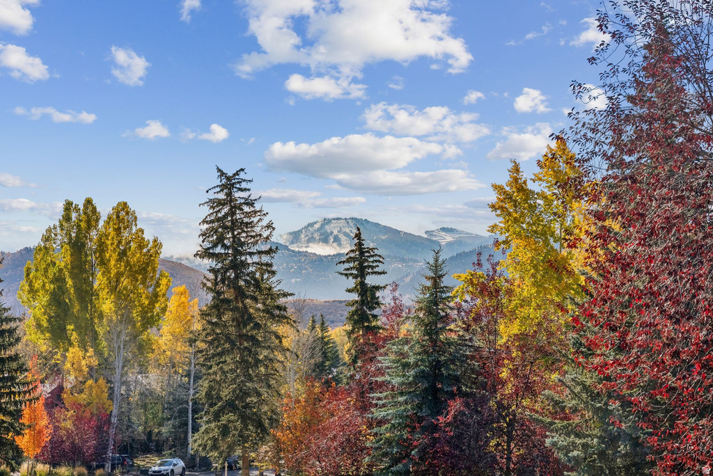 Photo 70 for MLS #2119868 at 3065 Oak Rim Ln