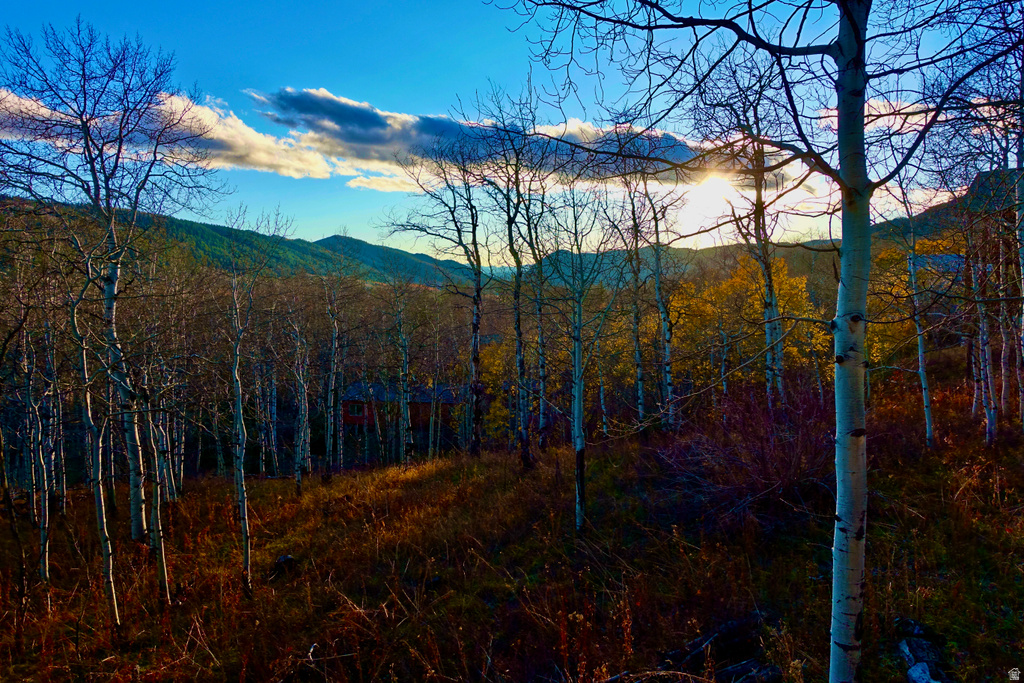 5536 E COLTER RD Oakley, UT 84055