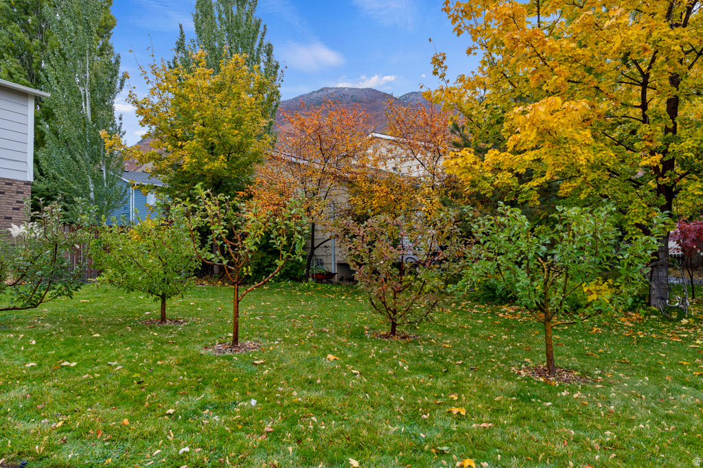 7931 S NORWOOD RD Cottonwood Heights, UT 84121