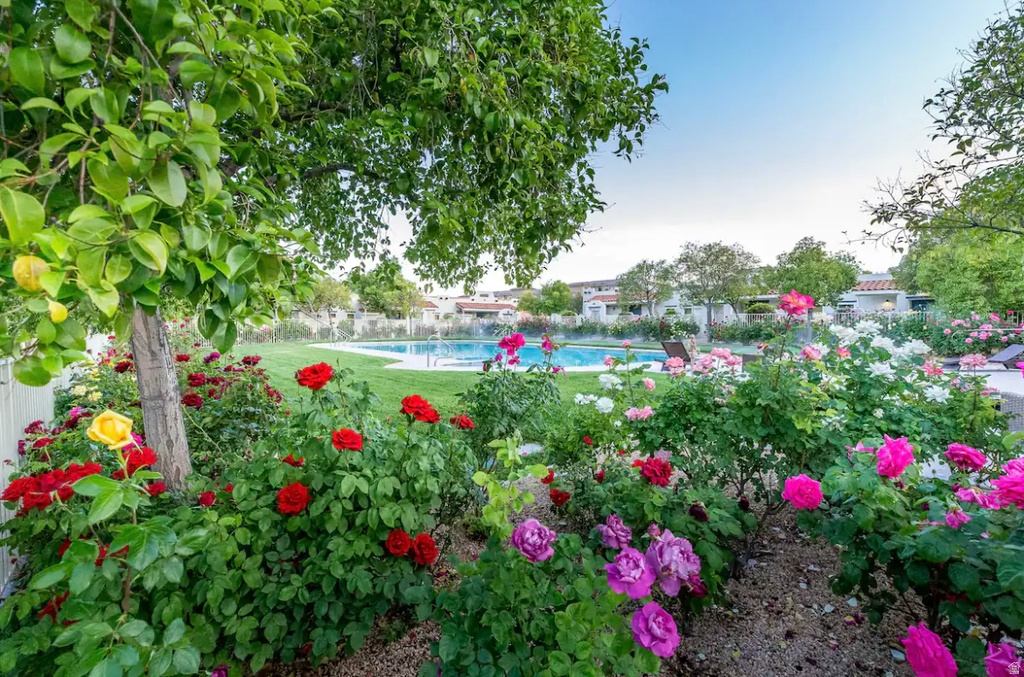 1999 W CANYON VIEW DR #44 St George, UT 84770