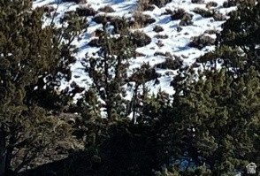 1  SEE DIRECTIONS Salina, UT 84654