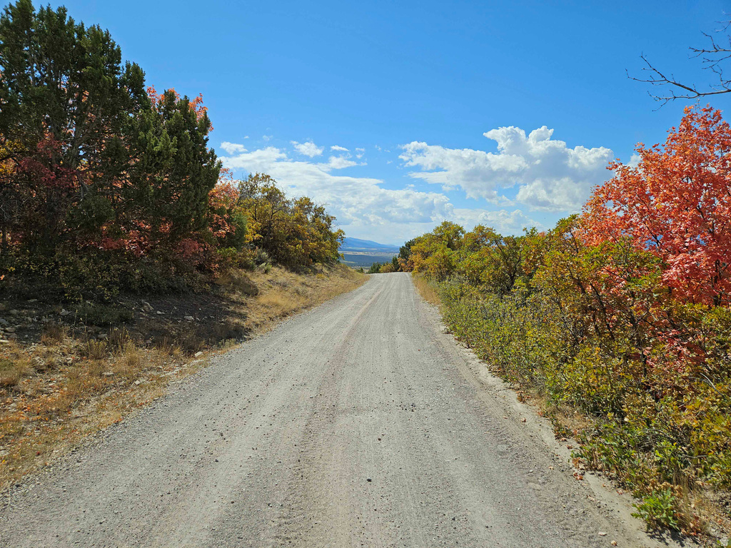 View of dirt / gravel road