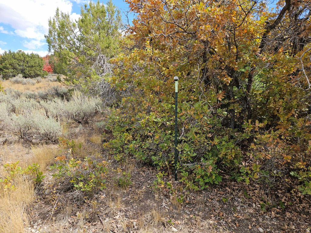View of undeveloped land