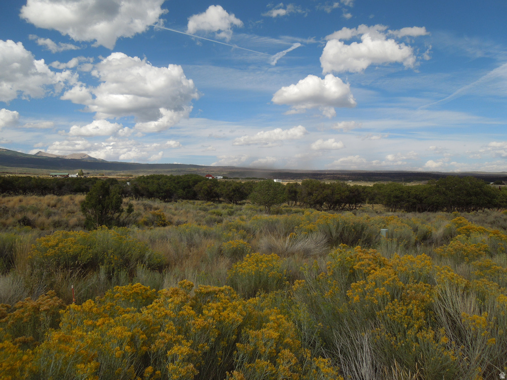 33 E SPRING DRAW DR La Sal, UT 84530