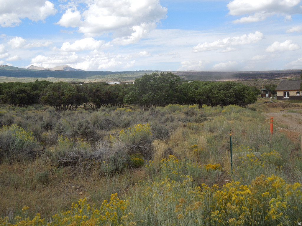 33 E SPRING DRAW DR La Sal, UT 84530