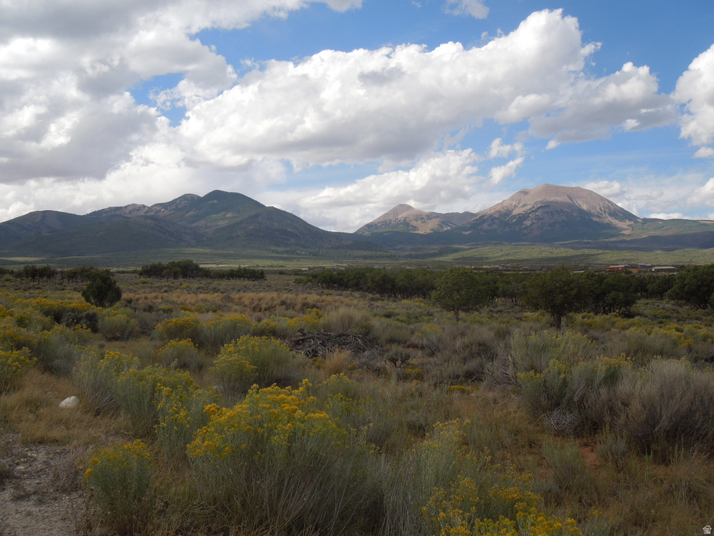 33 E SPRING DRAW DR La Sal, UT 84530