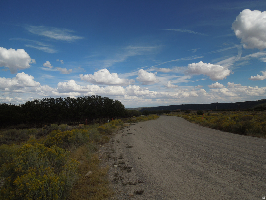 33 E SPRING DRAW DR La Sal, UT 84530