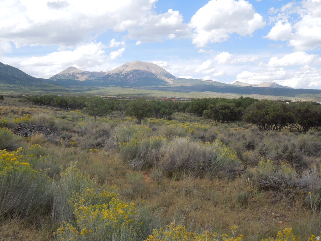 33 E SPRING DRAW DR La Sal, UT 84530