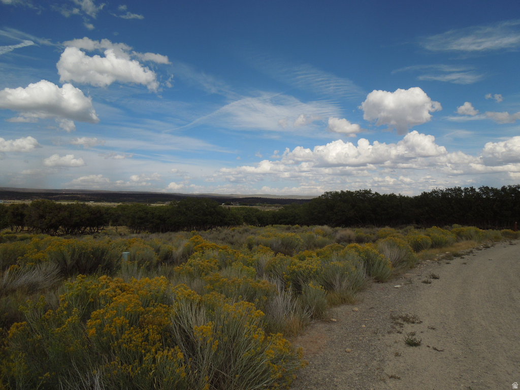 33 E SPRING DRAW DR La Sal, UT 84530