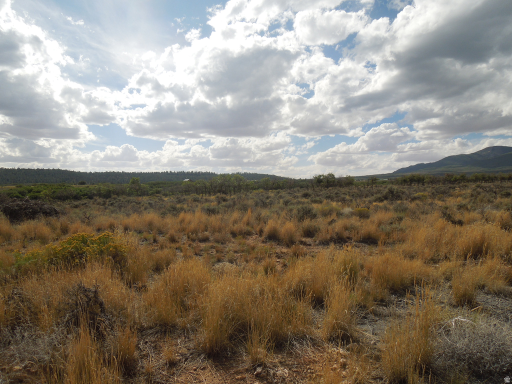 81 E SPRING DRAW DR La Sal, UT 84530