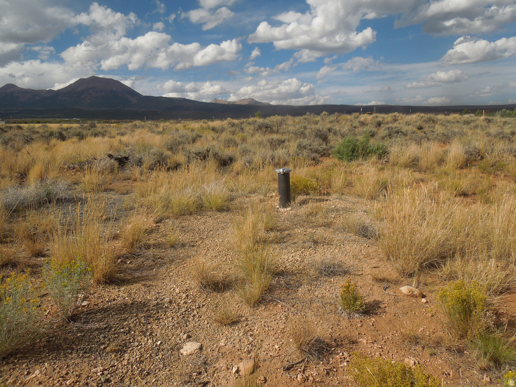 81 E SPRING DRAW DR La Sal, UT 84530