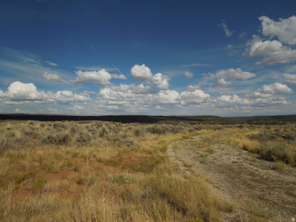 81 E SPRING DRAW DR La Sal, UT 84530