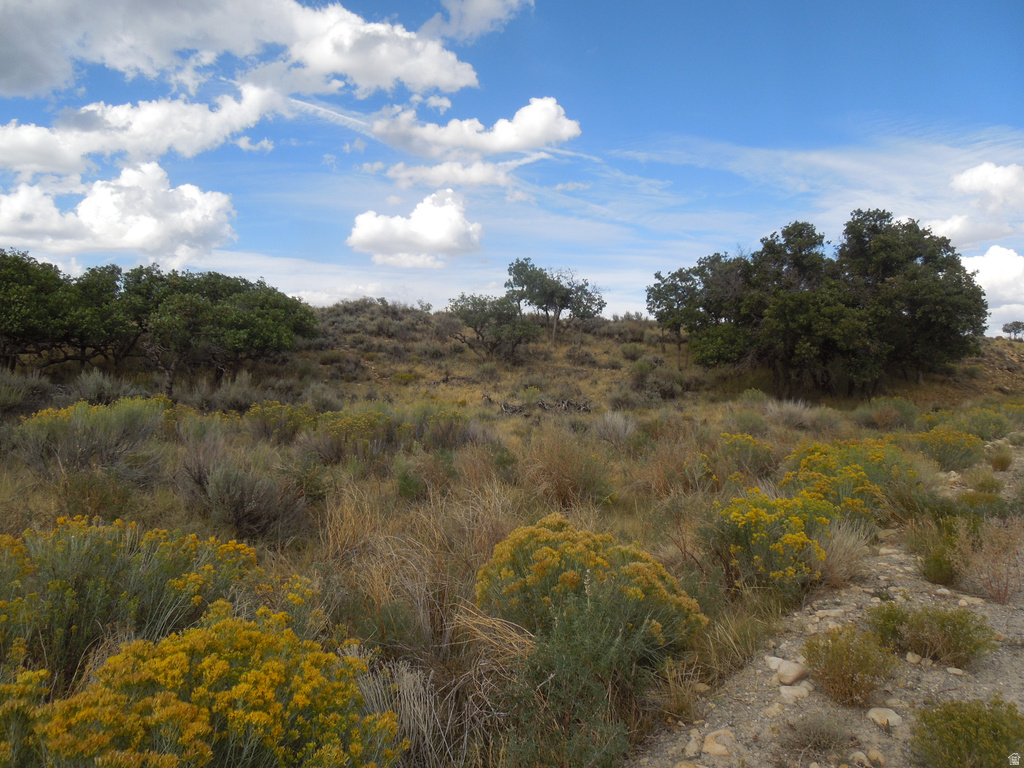 81 E SPRING DRAW DR La Sal, UT 84530