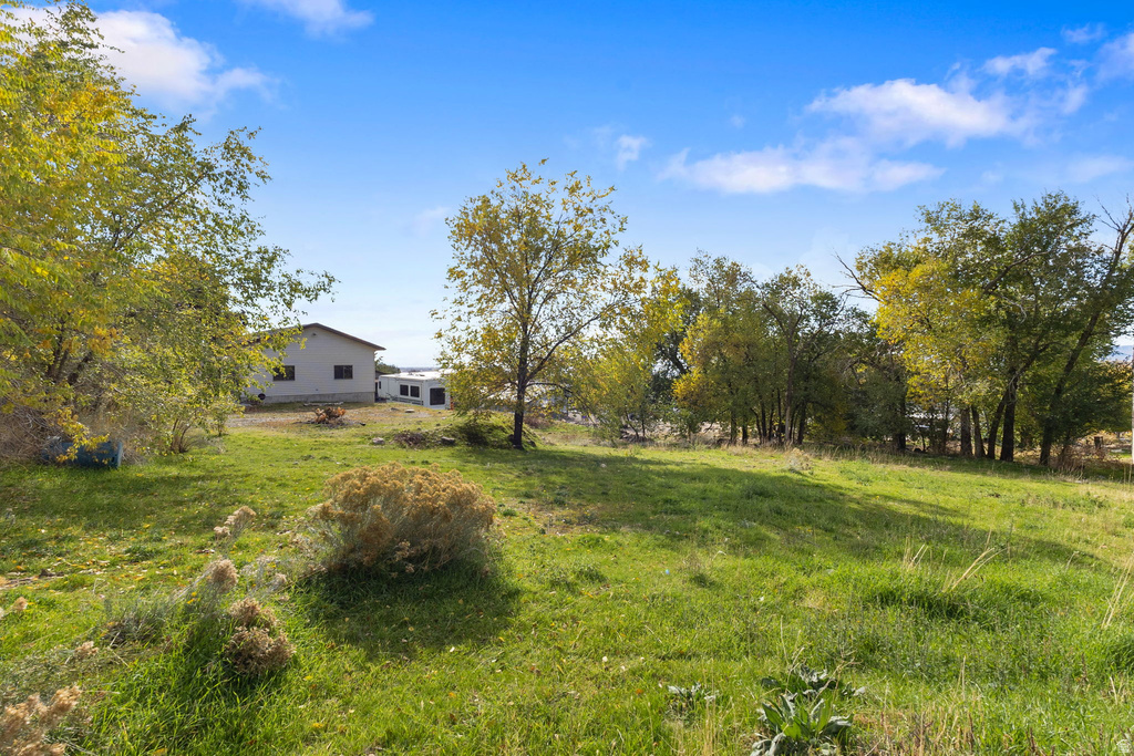 275 E 100 S Willard, UT 84340