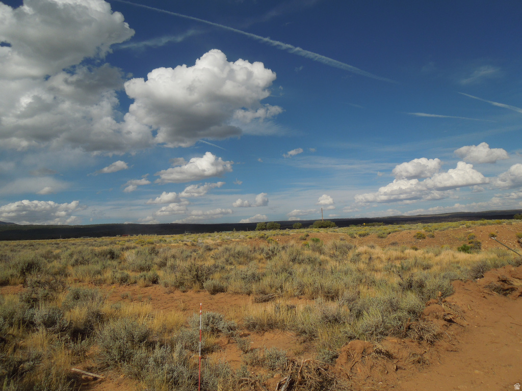 4  STONE RD La Sal, UT 84530