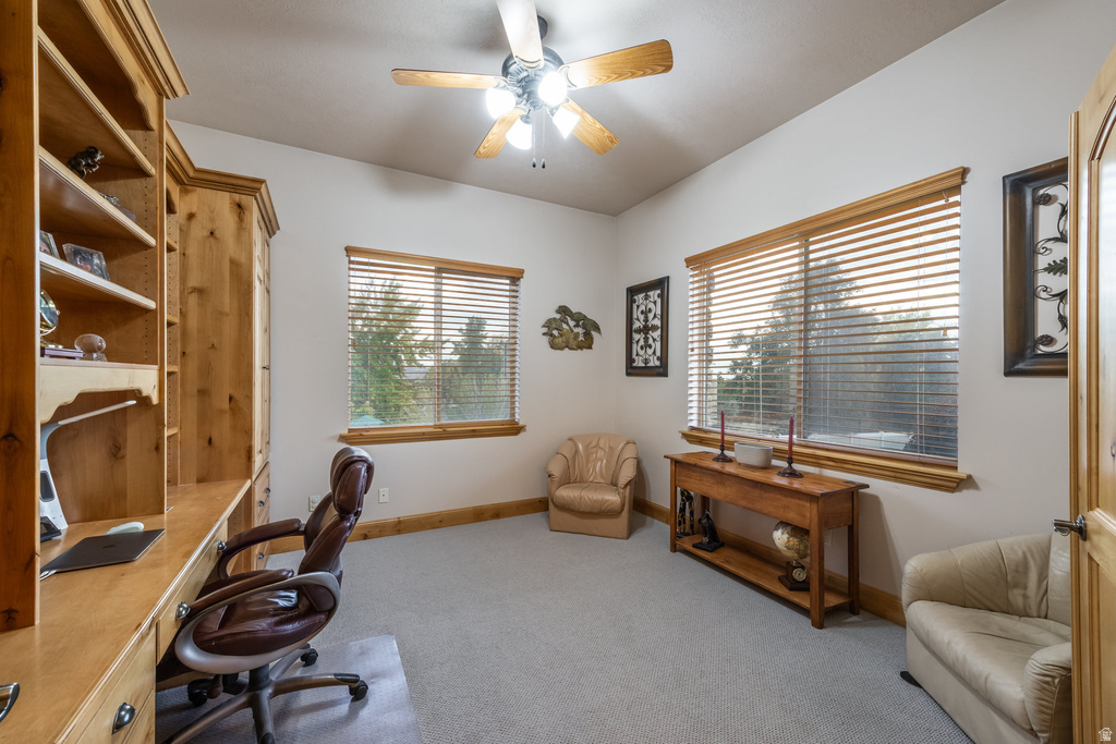 Photo 23 for MLS #2120040 at 2979 Stauning Cv