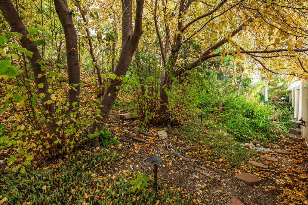 Photo 47 for MLS #2120040 at 2979 Stauning Cv