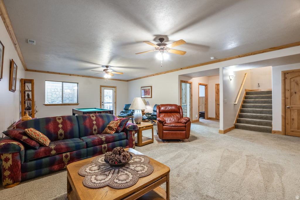 Photo 27 for MLS #2120040 at 2979 Stauning Cv