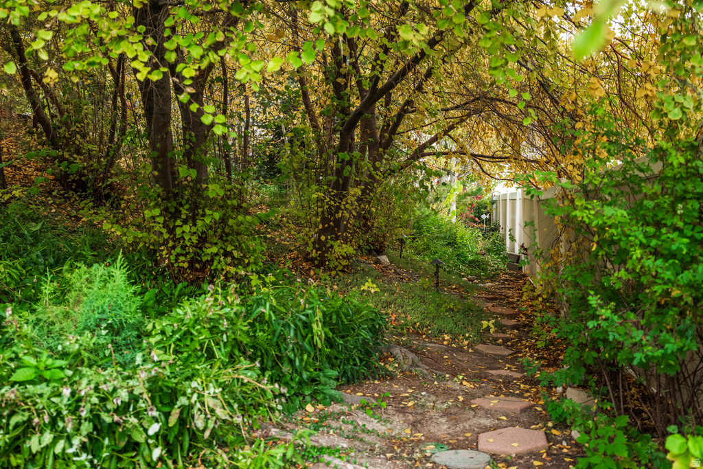 Photo 46 for MLS #2120040 at 2979 Stauning Cv