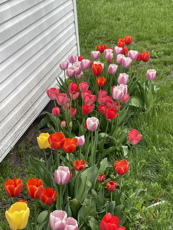 2424 S D AVE Ogden, UT 84401