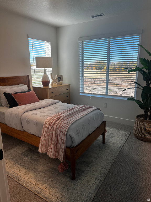 18 S LUNAR WAY Mapleton, UT 84664