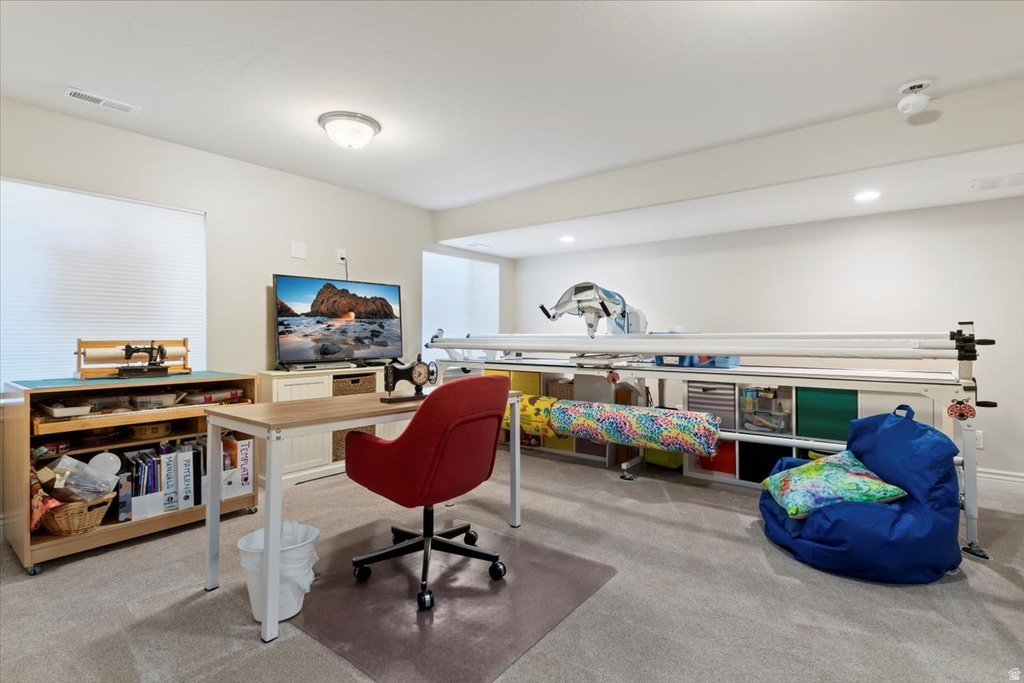 Photo 22 for MLS #2120121 at 4389 W South Jordan Pkwy