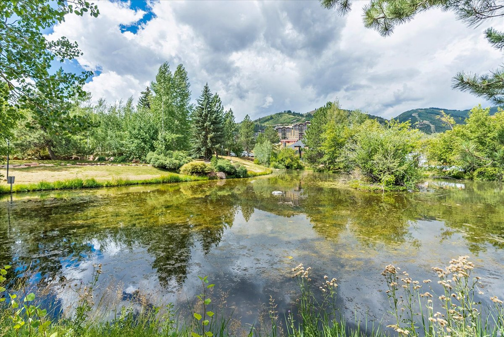 2100 CANYONS RESORT DR #14-D-1 Park City, UT 84098