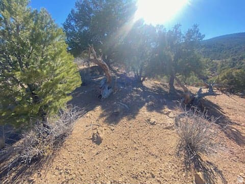 39865 W 7500 S Fruitland, UT 84027