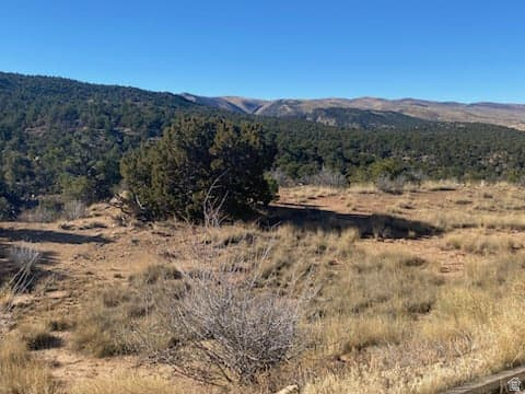 39865 W 7500 S Fruitland, UT 84027