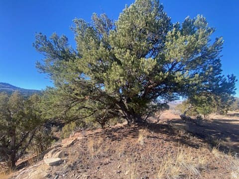 39865 W 7500 S Fruitland, UT 84027