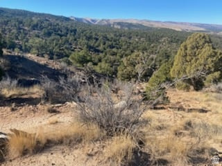 39865 W 7500 S Fruitland, UT 84027