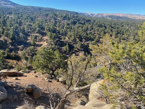 39865 W 7500 S Fruitland, UT 84027