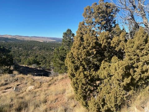 39865 W 7500 S Fruitland, UT 84027