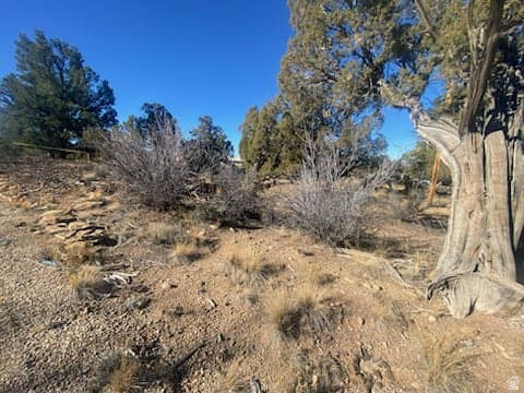 39865 W 7500 S Fruitland, UT 84027