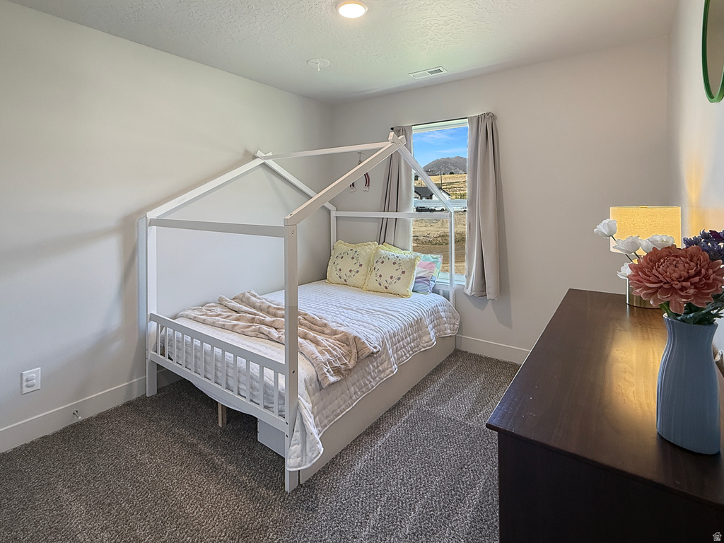 3713 S WHITE ASH DR Mapleton, UT 84664