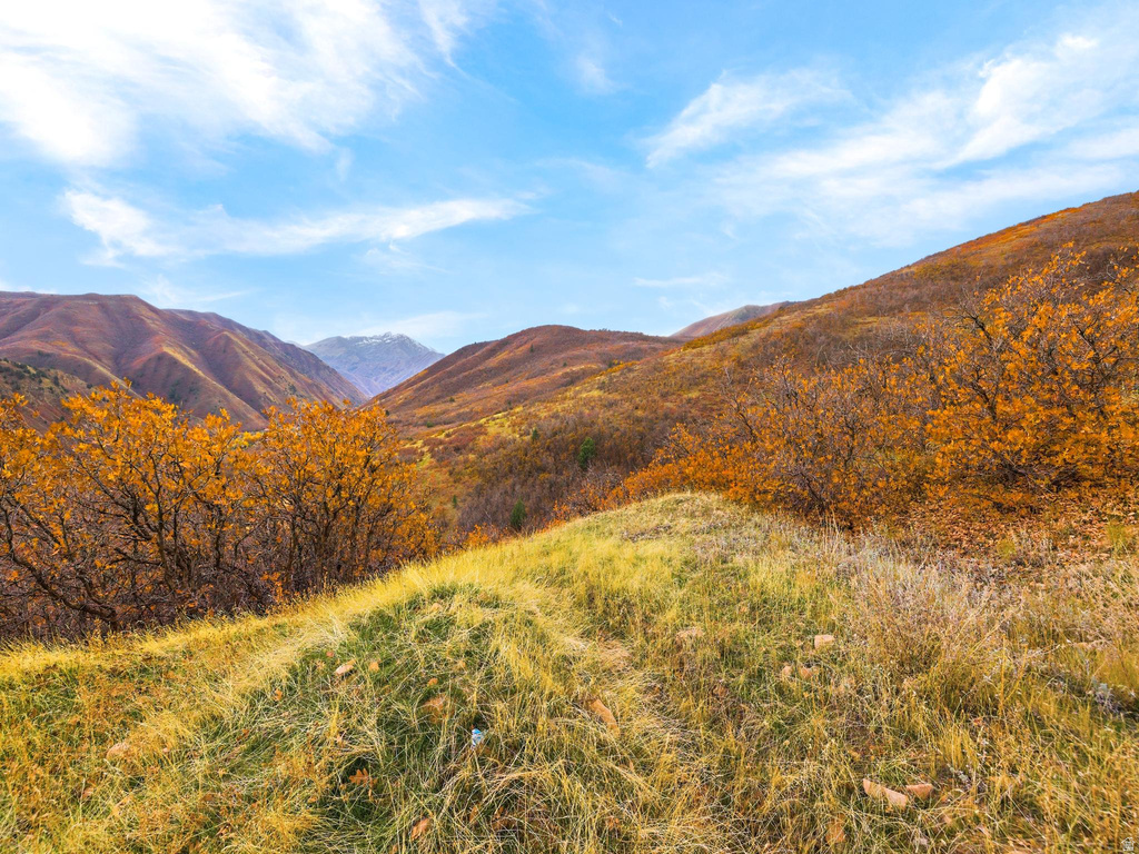 2000  OAK WOOD DR Springville, UT 84663