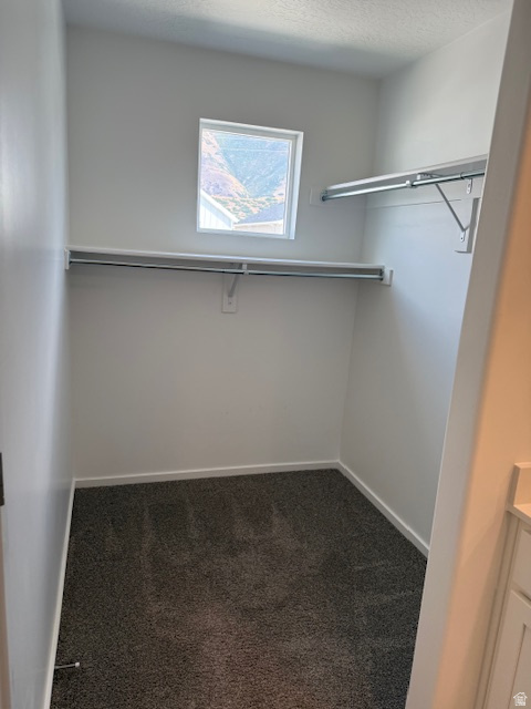 1503 S 3740 E #1320 Spanish Fork, UT 84660