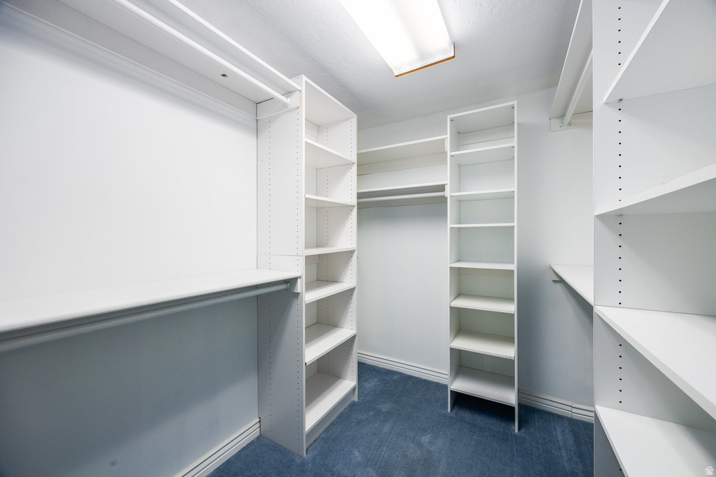 13849 S WASATCH VISTA DR Bluffdale, UT 84065