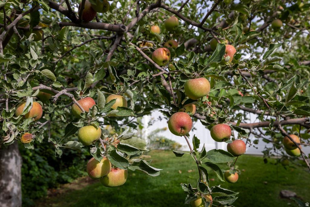 1050 S GRANDVIEW DR Providence, UT 84332