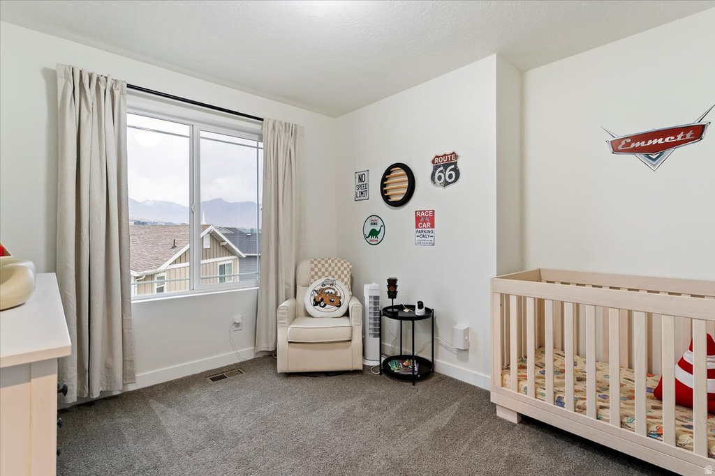 3217 W 2450 N Lehi, UT 84043