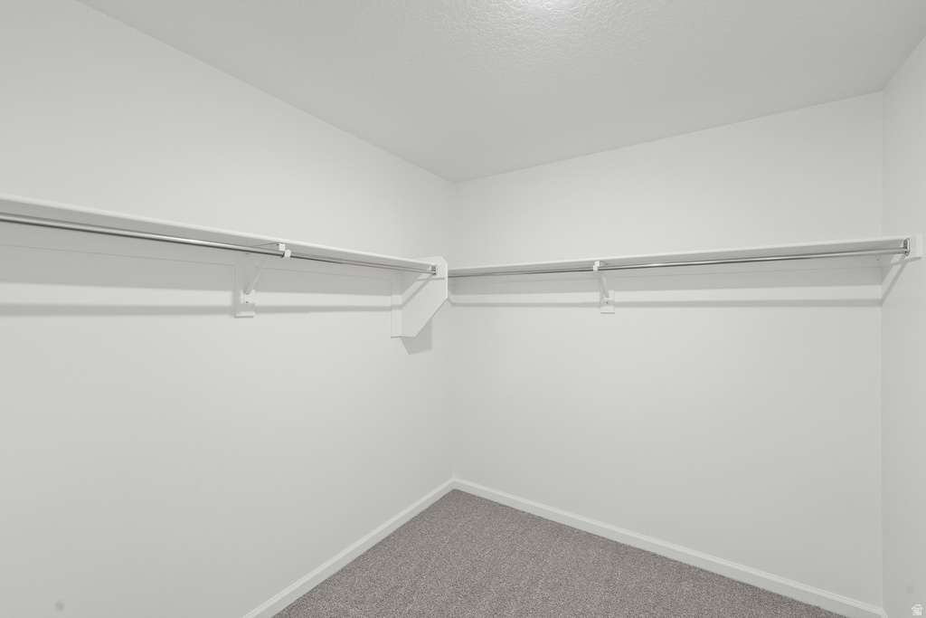 233 W 800 #345 Willard, UT 84340