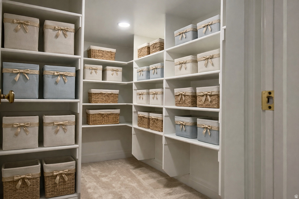 10934 S CORALVILLE WAY South Jordan, UT 84009