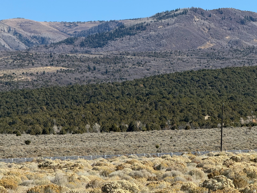 1  PINE CREEK RD Mt Pleasant, UT 84647