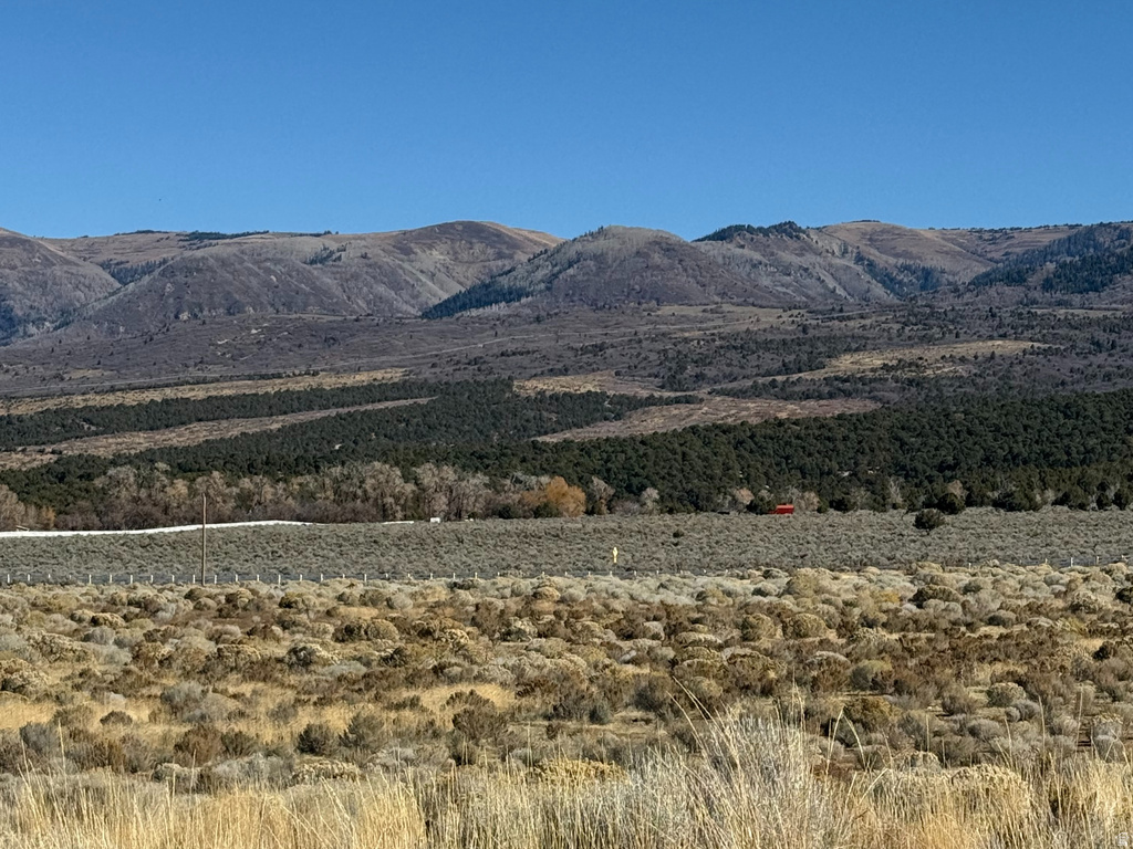 1  PINE CREEK RD Mt Pleasant, UT 84647